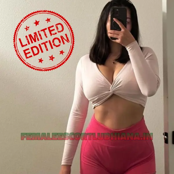 Ludhiana Escorts
