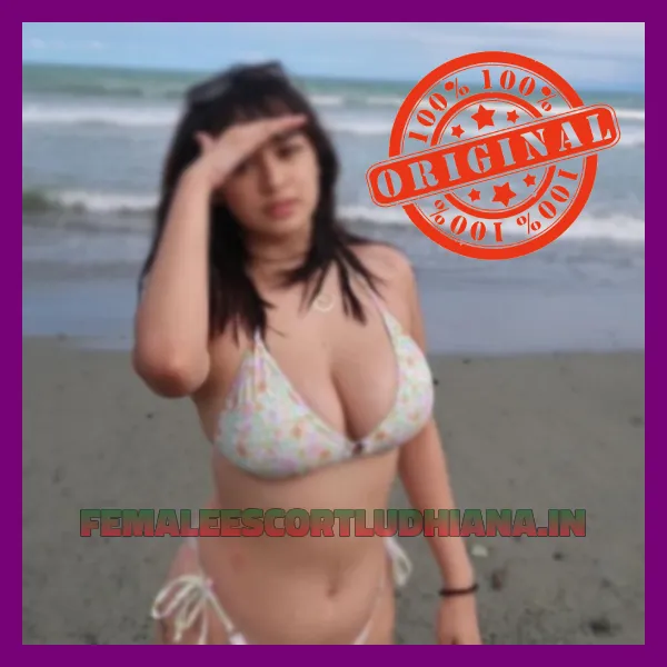 Ludhiana Escorts